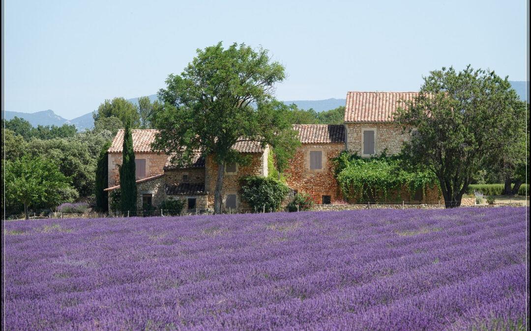 Eine Woche Provence – A Week in Provence