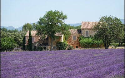 Eine Woche Provence – A Week in Provence